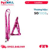 Set Dây + Yếm Sonice Lucky Leash + Harness 5kg - 1cm Gấu dâu Petmall