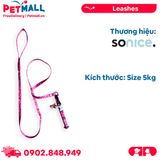 Set Dây + Vòng cổ Sonice Lucky Leash + Collar 5kg - 1cm Gấu dâu Petmall