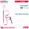 Set Dây + Vòng cổ Sonice Lucky Leash + Collar 5kg - 1cm Gấu dâu Petmall