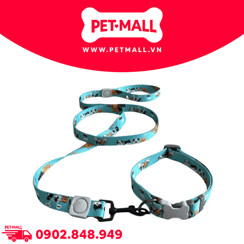 Set Dây + Vòng cổ Sonice Lucky Leash + Collar 30kg - 2.5cm Hình chó mèo xanh lục Petmall
