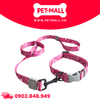 Set Dây + Vòng cổ Sonice Lucky Leash + Collar 30kg - 2.5cm Gấu dâu Petmall