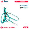 Set Dây + Yếm Sonice Lucky Leash + Harness 30kg - 2.5cm Hình chó mèo xanh lục Petmall
