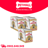 Combo 36 Gói 85G - Pate mèo Royal Canin British Shorthair Adult Gravy Petmall