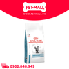 6KG - Thức ăn mèo Royal Canin Skin & Coat - Dưỡng da và lông Petmall