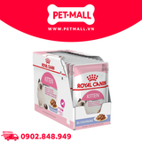 Hộp 12 Gói 85G - Pate mèo Royal Canin Kitten Jelly Petmall
