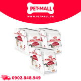 Combo 36 gói 85G - Pate mèo Royal Canin Instinctive Loaf Petmall