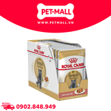 Pate mèo Royal Canin British Shorthair Adult Gravy 85g - Hộp 12 gói Petmall