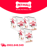 Combo 36 Gói 85G - Pate mèo Royal Canin Instinctive Gravy Petmall
