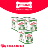 Combo 36 Gói 85G - Pate chó Royal Canin Mini Adult Gravy Petmall