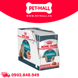 Hộp 12 Gói 85G - Pate mèo Royal Canin Hairball Gravy Petmall