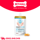 Gel dinh dưỡng Dr Healmedix Skinvet Supplement 100g cải thiện da, tăng khả năng miễn dịch Petmall