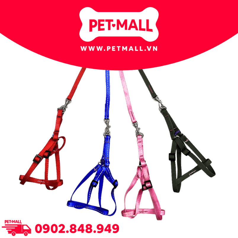 Set dây dắt + yếm SONICE Mix Collar Extra Small Size - Cho mèo < 5kg Petmall