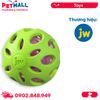 Đồ chơi JW Puppy Crackle Heads Ball for Dogs - Hỗ trợ huấn luyện cho chó con Petmall