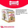 Pate mèo Royal Canin British Shorthair Adult Gravy 85g - Hộp 12 gói Petmall
