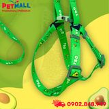 Set Dây + Yếm Sonice Lucky Leash + Harness 20kg - 2cm Bơ xanh Petmall