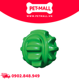 Banh cao su siêu bền DoggyMan size S Petmall