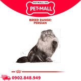 400G - Thức ăn mèo Royal Canin Persian Adult - Dành cho mèo Ba Tư Petmall