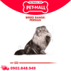 400G - Thức ăn mèo Royal Canin Persian Adult - Dành cho mèo Ba Tư Petmall