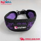 Set dây dắt và vòng cổ bản lớn Zichen Size S | 60cm - Màu Tím Petmall