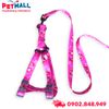 Set Dây + Yếm Sonice Lucky Leash + Harness 10kg - 1.5cm Gấu dâu Petmall