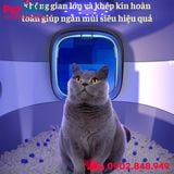 Nhà vệ sinh SONICE LED Cat Litter Box Size 50x35x35cm - 2 cửa, kèm đèn Led cao cấp Petmall