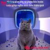 Nhà vệ sinh SONICE LED Cat Litter Box Size 50x35x35cm - 2 cửa, kèm đèn Led cao cấp Petmall
