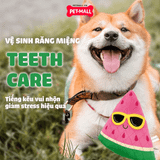 Đồ chơi FF SUMMER series Pineapple - Quả dứa Petmall