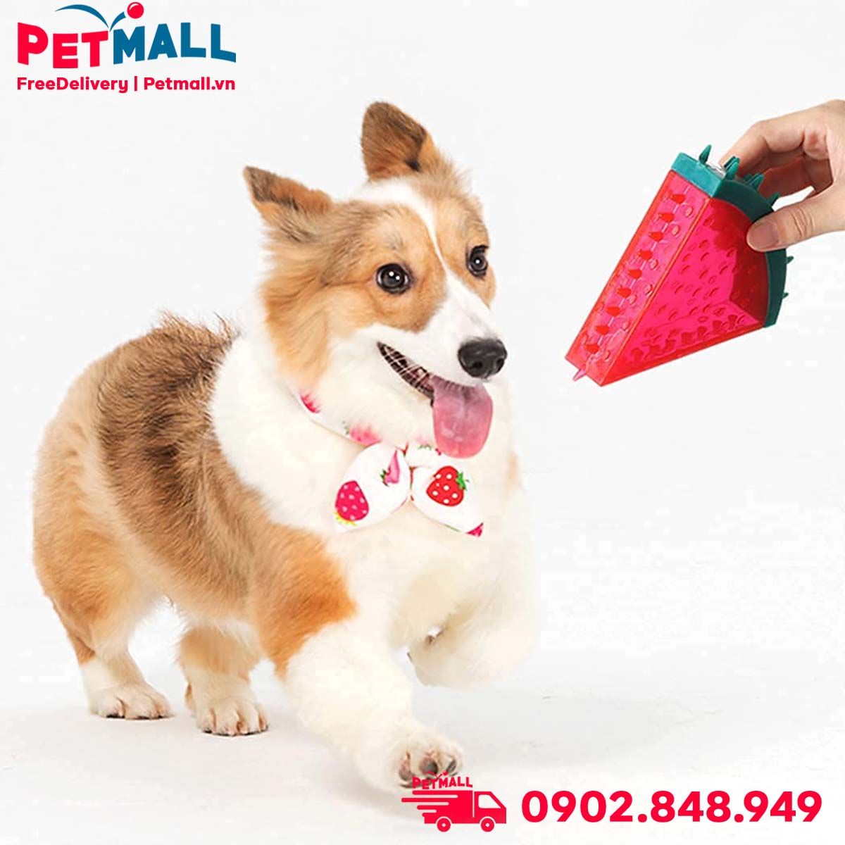 Đồ chơi Rosewood Watermelon Ice Toys - Hình dưa hấu lạnh bóp kêu tít tít Petmall