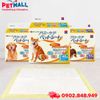 Tấm lót vệ sinh HoneyCare Potty Deluxe Size M | 45x60cm - 46 tấm - Hương Nhài, hỗ trợ huấn luyện Pee Pads Petmall
