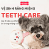 Đồ chơi FF PUPPY Series Monkey - Khỉ bông Petmall