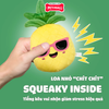 Đồ chơi FF SUMMER series Watermelon - Dưa hấu Petmall