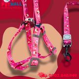Set Dây + Yếm Sonice Lucky Leash + Harness 20kg - 2cm Gấu dâu Petmall