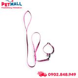 Set Dây + Vòng cổ Sonice Lucky Leash + Collar 5kg - 1cm Gấu dâu Petmall