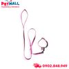 Set Dây + Vòng cổ Sonice Lucky Leash + Collar 5kg - 1cm Gấu dâu Petmall