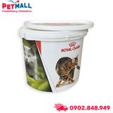 Thùng đựng thức ăn Royal Canin 4kg - Size 32x35cm- Hình mèo Petmall