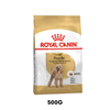 500G - Thức ăn chó Royal Canin Poodle Adult Petmall