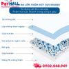 Tấm lót vệ sinh HoneyCare Potty Standard Size L | 60x90cm - 50 tấm - Hỗ trợ huấn luyện Pee Pads Petmall