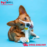 Đồ chơi Hartz Chew'n Clean Twisty Bone Bacon Scented Flexible Dog Chew Toys X-Small Size - Vị thịt xông khói Petmall