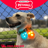 Phụ kiện FOFOS mặt dây LED trang trí vòng cổ cho thú chưng Laroo-LED Octopus pendant battery - Màu xanh lá Petmall