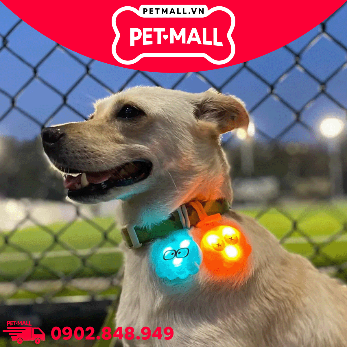 Phụ kiện FOFOS mặt dây LED trang trí vòng cổ cho thú chưng Laroo-LED Octopus pendant battery - Màu xanh lá Petmall