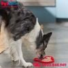 Đồ chơi ăn chậm SONICE Mickey Mouse Silicone Treat Yummy Mat Petmall