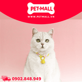 Vòng cổ SONICE Chain Collar Pastel - Hình dây xích kèm chuông Petmall