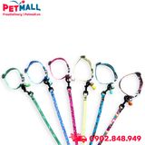 Set Dây + Vòng cổ Sonice Lucky Leash + Collar 5kg - 1cm Hình chó xanh biển Petmall
