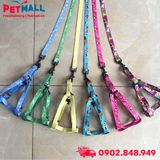 Set Dây + Yếm Sonice Lucky Leash + Harness 10kg - 1.5cm Hình chó mèo xanh lục Petmall
