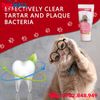 Bộ kem đánh răng và bàn chải Bioline Dental Hygiene Set Cheese Flavor for Cats 50g - Kem đánh vị phô mai, dành cho Mèo Petmall
