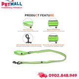 Set yếm + dây dắt Zichen Neon Size S - Phản quang, hỗ trợ đi đêm Petmall