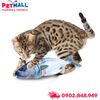 Đồ chơi AFP Chopped Mackerel Cuddler - Cá thu nhồi bông, có catnip bên trong Petmall