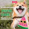 Đồ chơi FF SUMMER series Watermelon - Dưa hấu Petmall