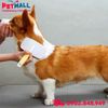 Lược chải lông Slicker DoggyMan HoneySmile size M - Răng mềm, tặng kèm lược Grooming Petmall