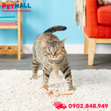 Đồ chơi Fat Cat EEEKS! Classic Original Catnip Toys - Hình con chuột, có cỏ mèo bên trong Petmall